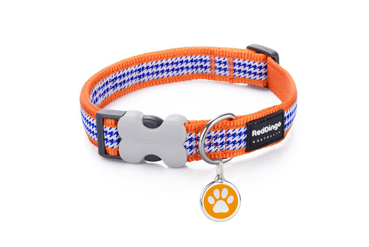 Red Dingo 'Fang it Orange' Collar
