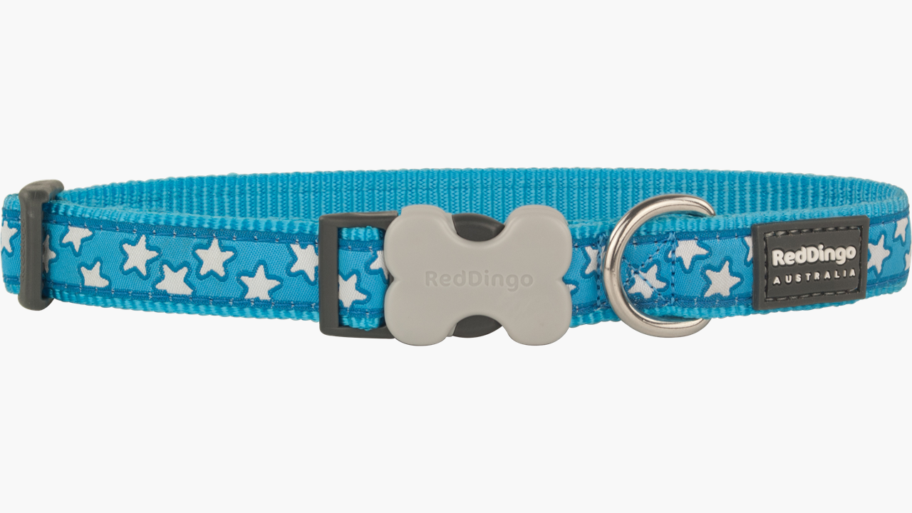 Red Dingo 'Stars White on Turquoise' Collar