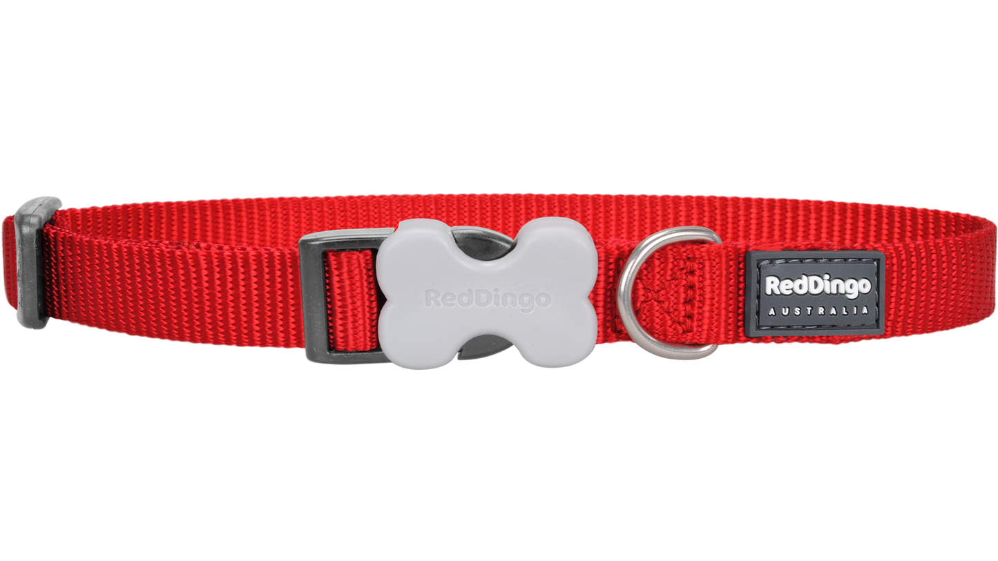 Red Dingo 'Classic Red' Collar