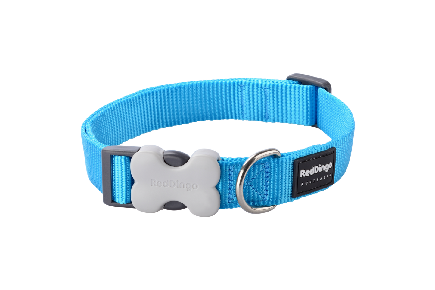 Red Dingo 'Classic Turquoise' Collar