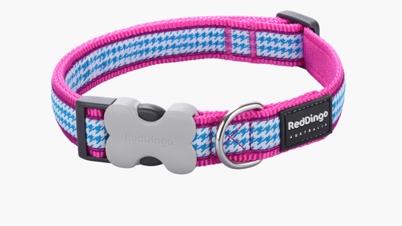 Red Dingo 'Fang it Hot Pink' Collar