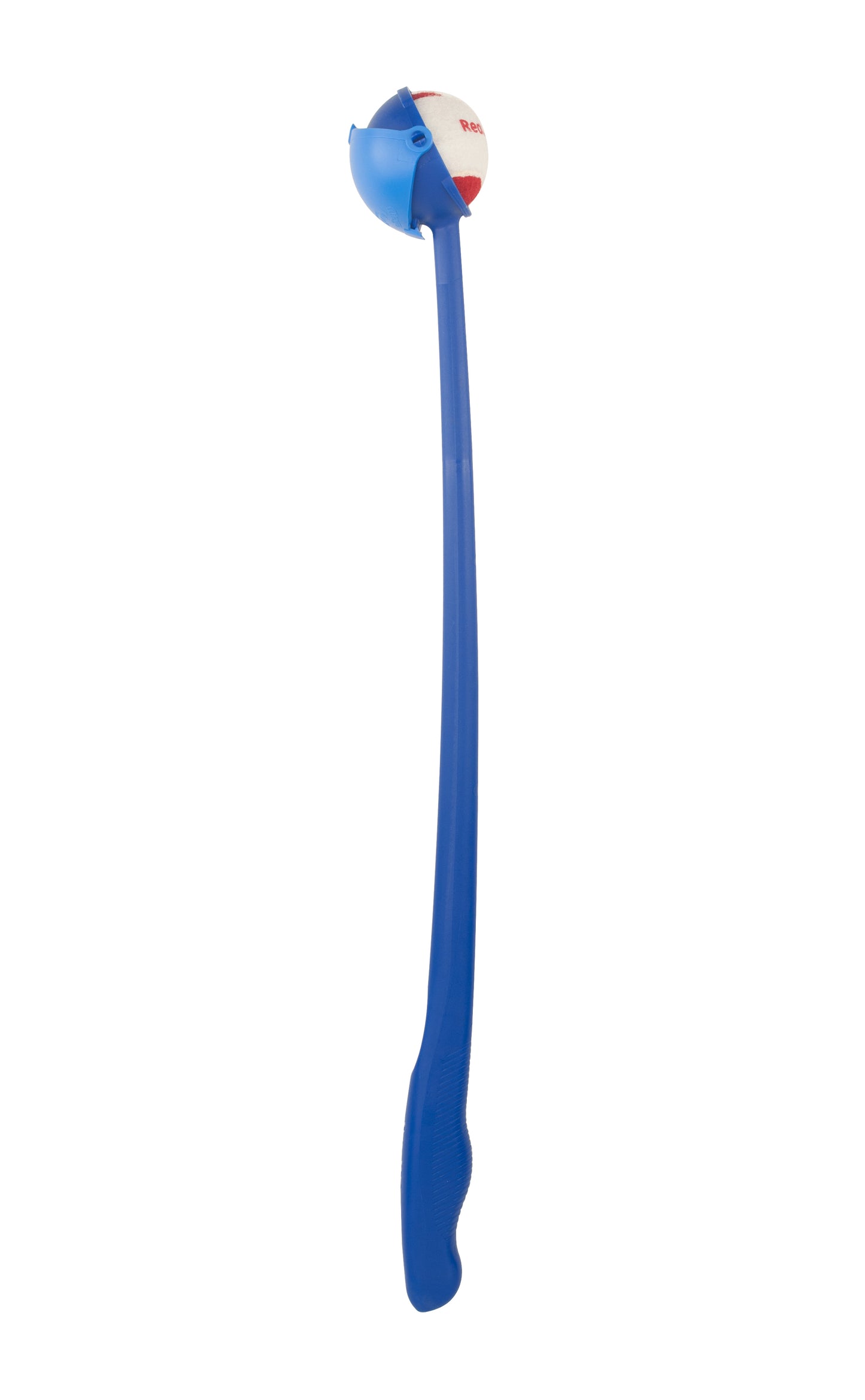 Red Dingo Flingo - Aero Blue