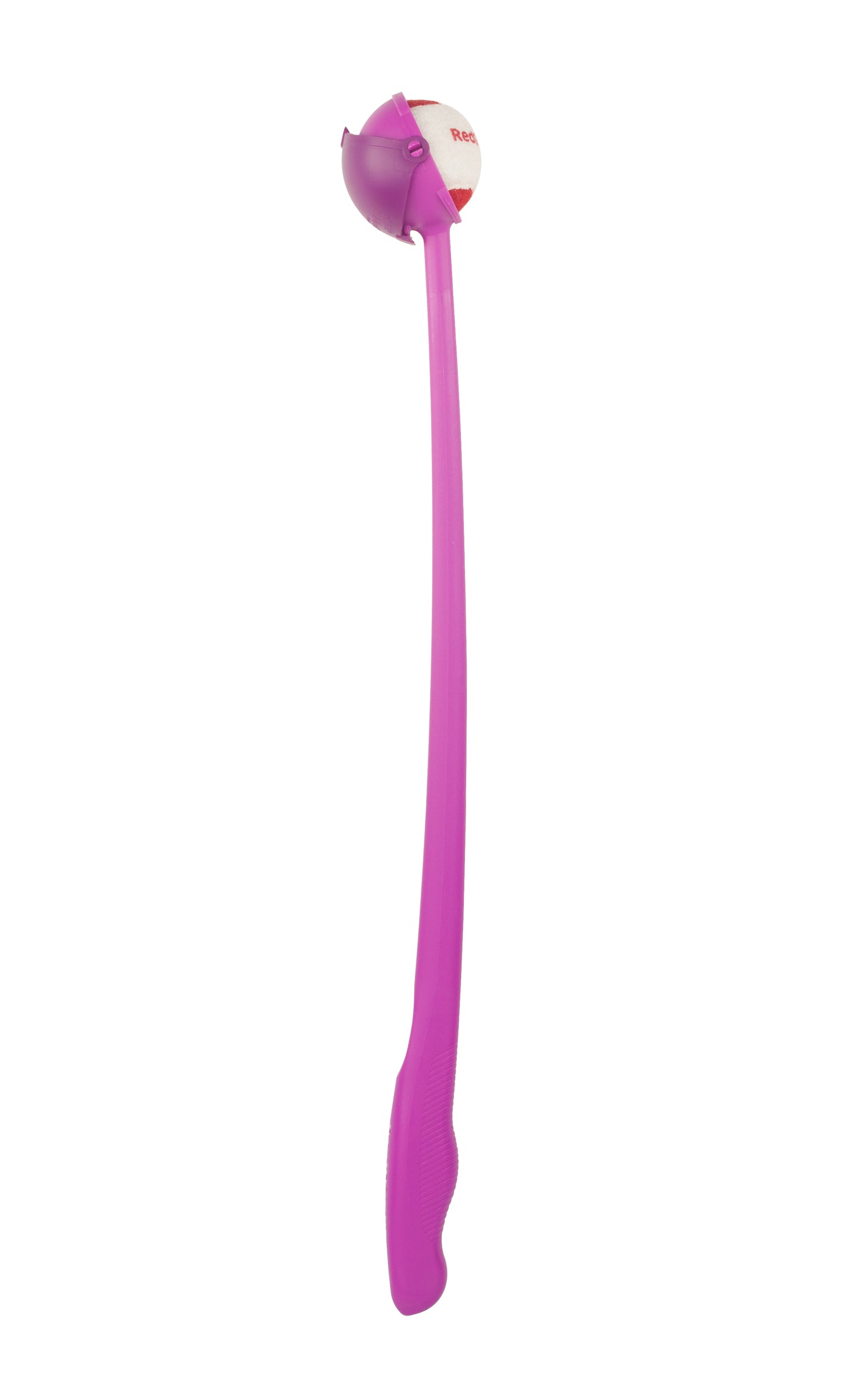 Red Dingo Flingo - Bubblegum
