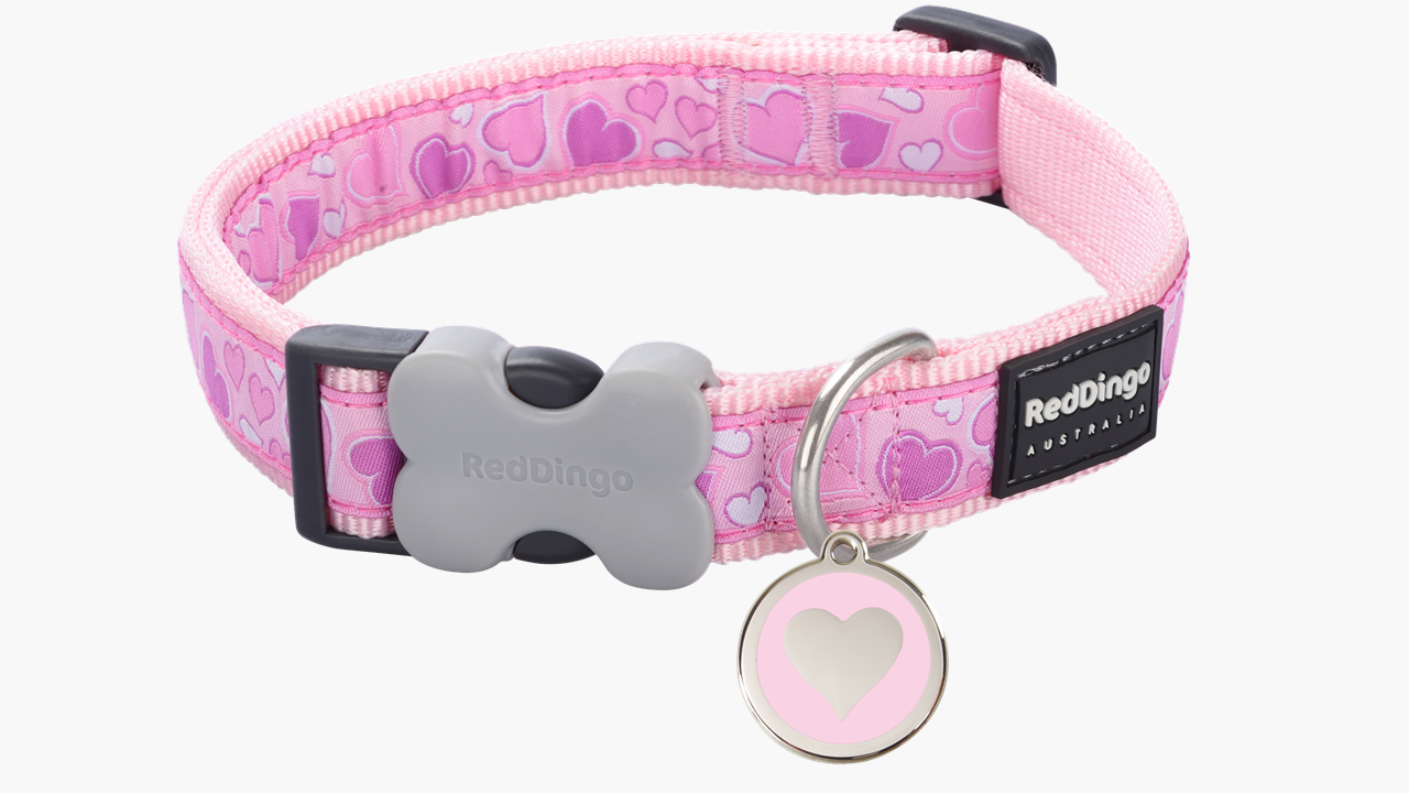 Red Dingo 'Breezy Love Pink' Collar