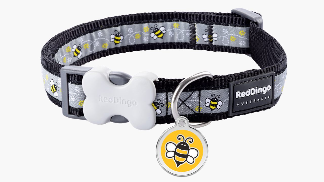 Red Dingo 'Bumble Bee Black' Collar