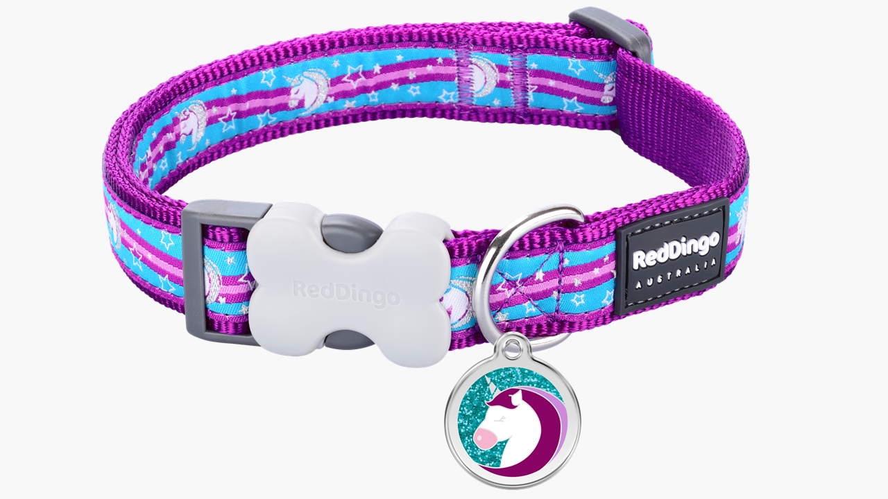 Red Dingo 'Unicorn Purple' Collar