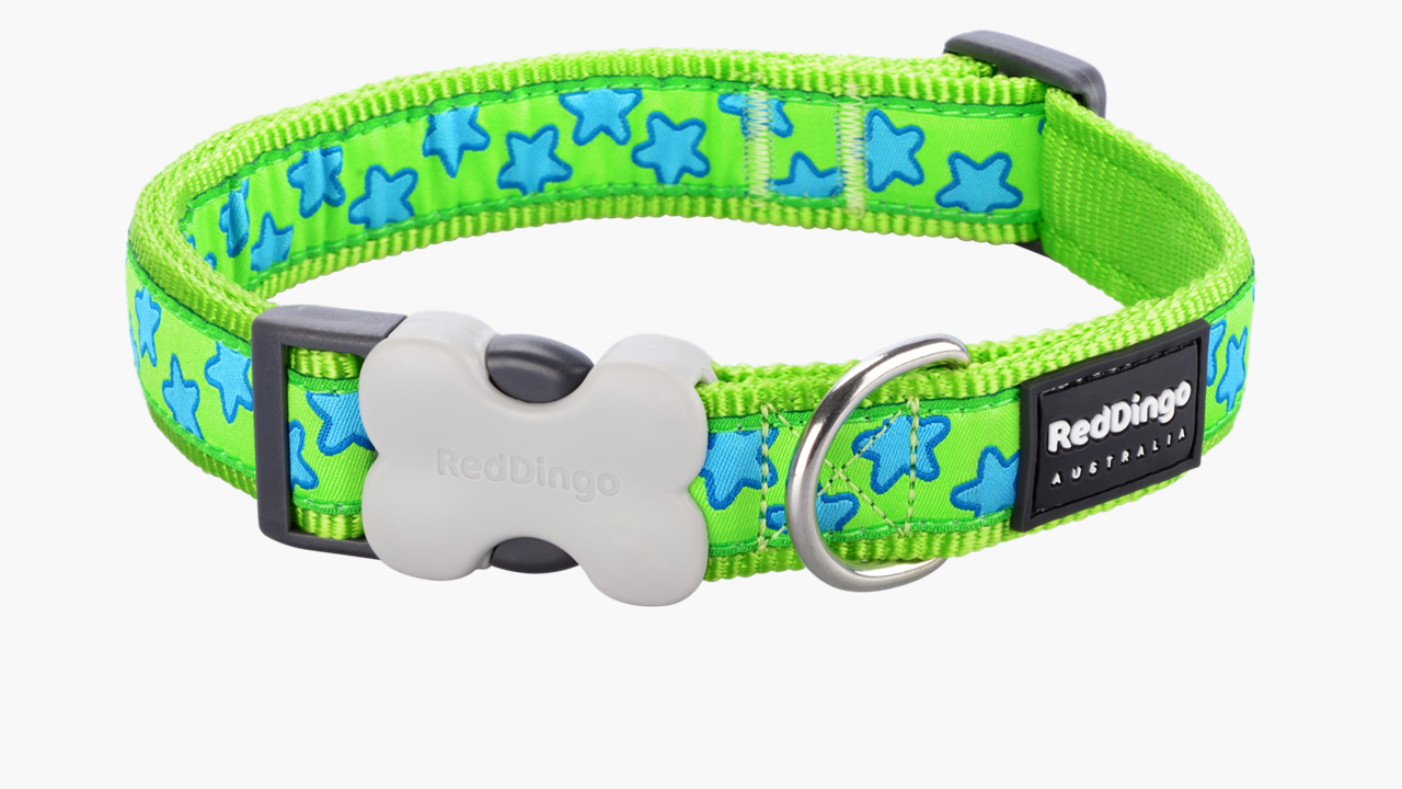 Red Dingo 'Stars Turquoise on Lime Green' Collar