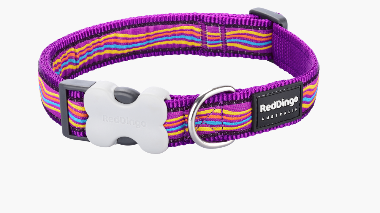 Red Dingo 'Dreamstream Purple' Collar