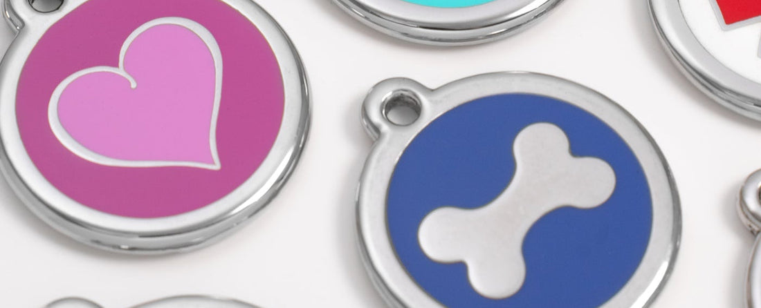 Best Dog ID Tags in South Africa (2026) | Stainless Steel Guide