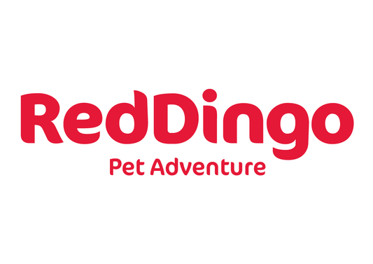 Red Dingo South Africa — Honest Review From the Official Distributor