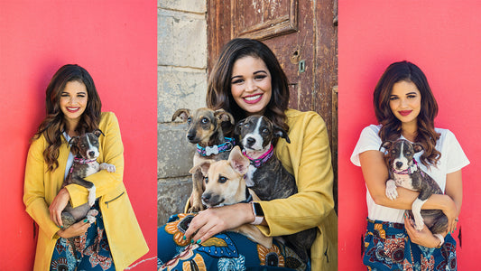 Celebrate National Women's Day with Meelo Pets - Win a R1000 Gift Voucher!