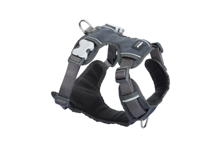 Red Dingo Padded Harnesses