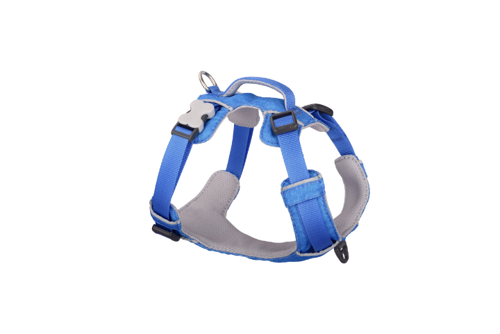Red Dingo Sports Harnesses