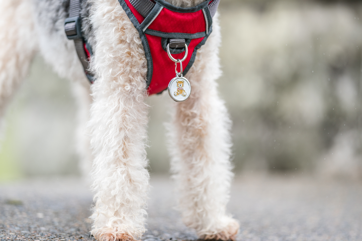 Red Dingo - Bone Navy Tag & Engraving