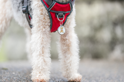 Red Dingo - Bone Navy Tag & Engraving
