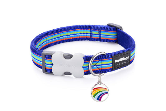 Red Dingo 'Horizontal Stripes Navy' Collar