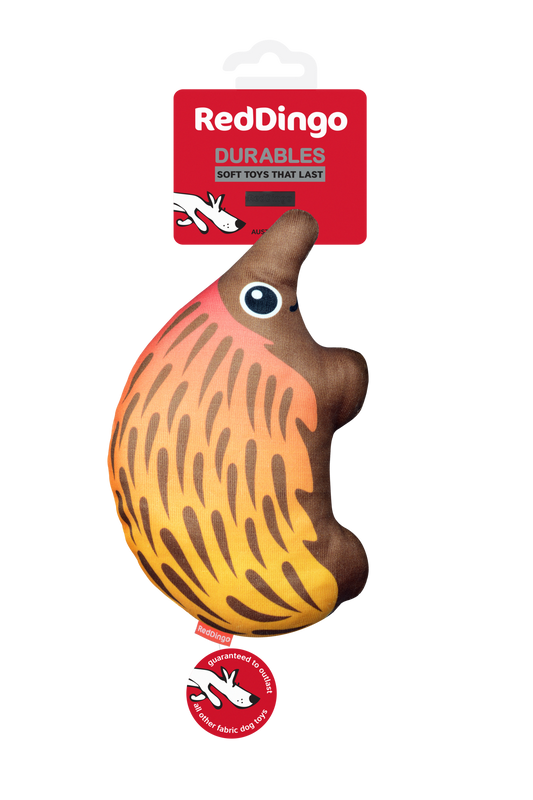 Red Dingo DURABLES - Echidna