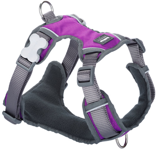 Red Dingo Padded Harness