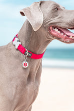 Load image into Gallery viewer, Red Dingo - Bumble Bee Yellow Tag &amp; Engraving
