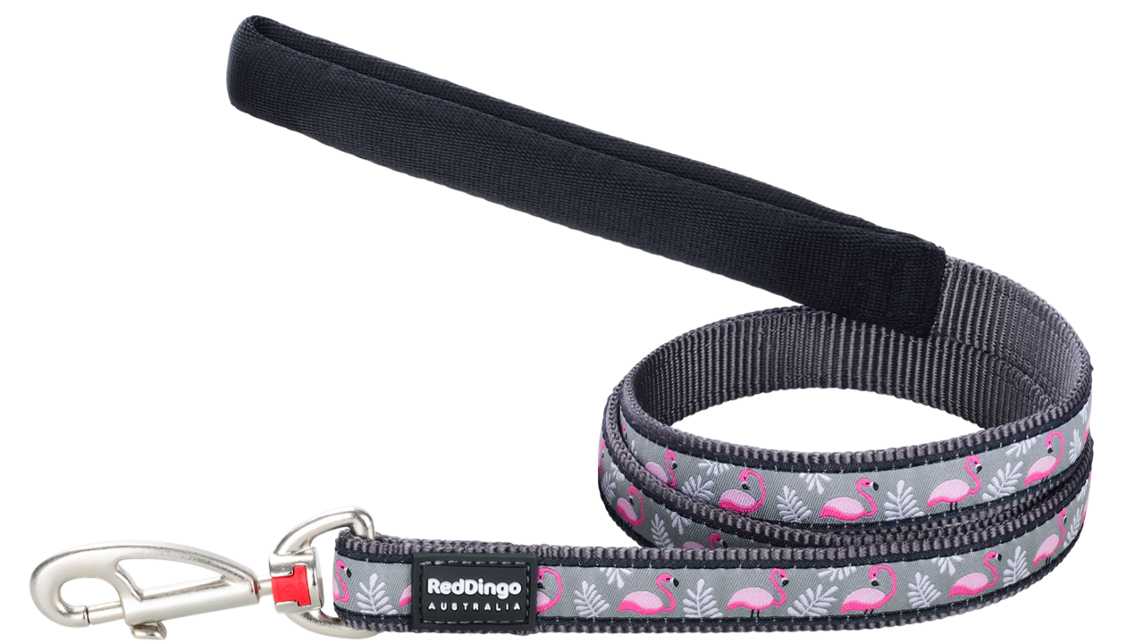 Flamingo Cool Grey Leads