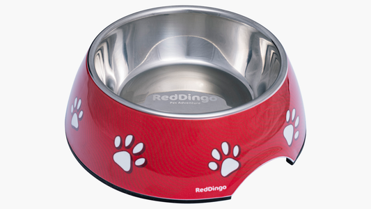2-1 Red Dingo Bowl - Desert Paws Red