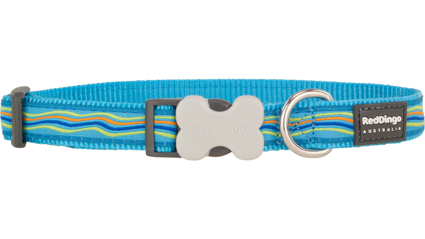 Red Dingo 'Dreamstream Turquoise' Collar