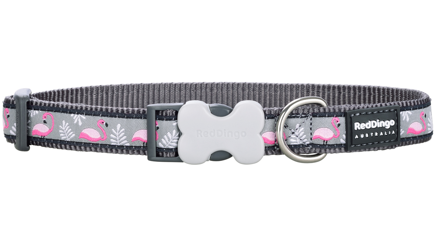 Red Dingo 'Flamingo Cool Grey' Collar