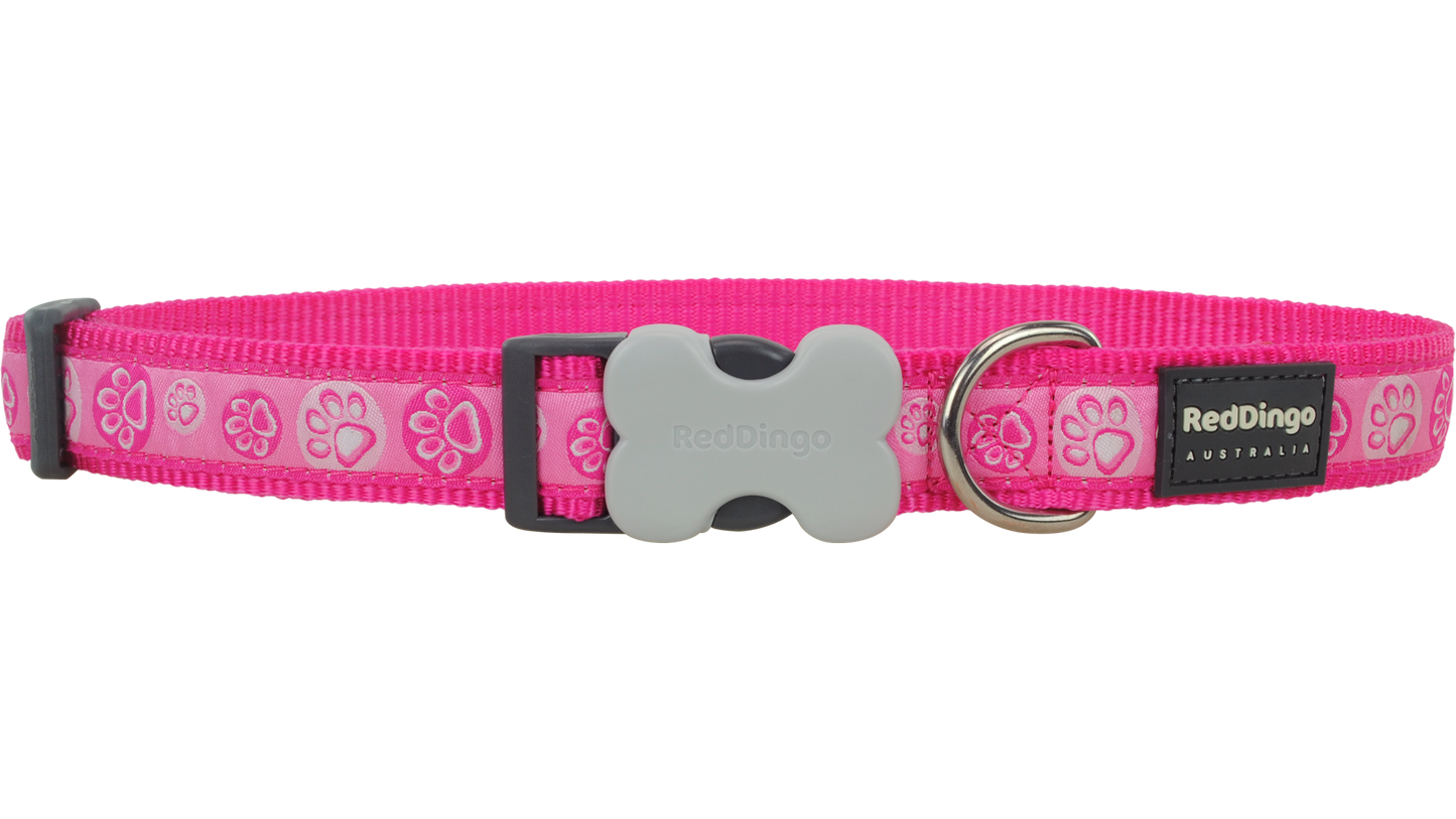 Red Dingo 'Paw Impressions' Hot Pink Collar