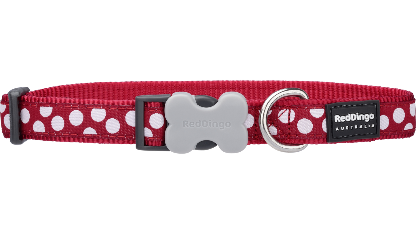 Red Dingo White Spots on Red Collar