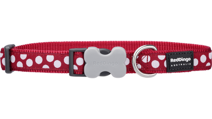 Red Dingo White Spots on Red Collar