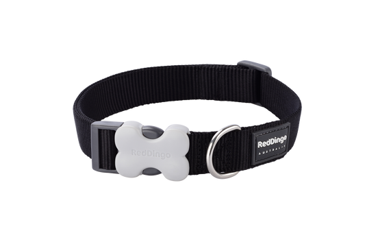 Red Dingo 'Classic Black' Collar