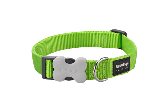 Red Dingo 'Classic Lime Green' Collar