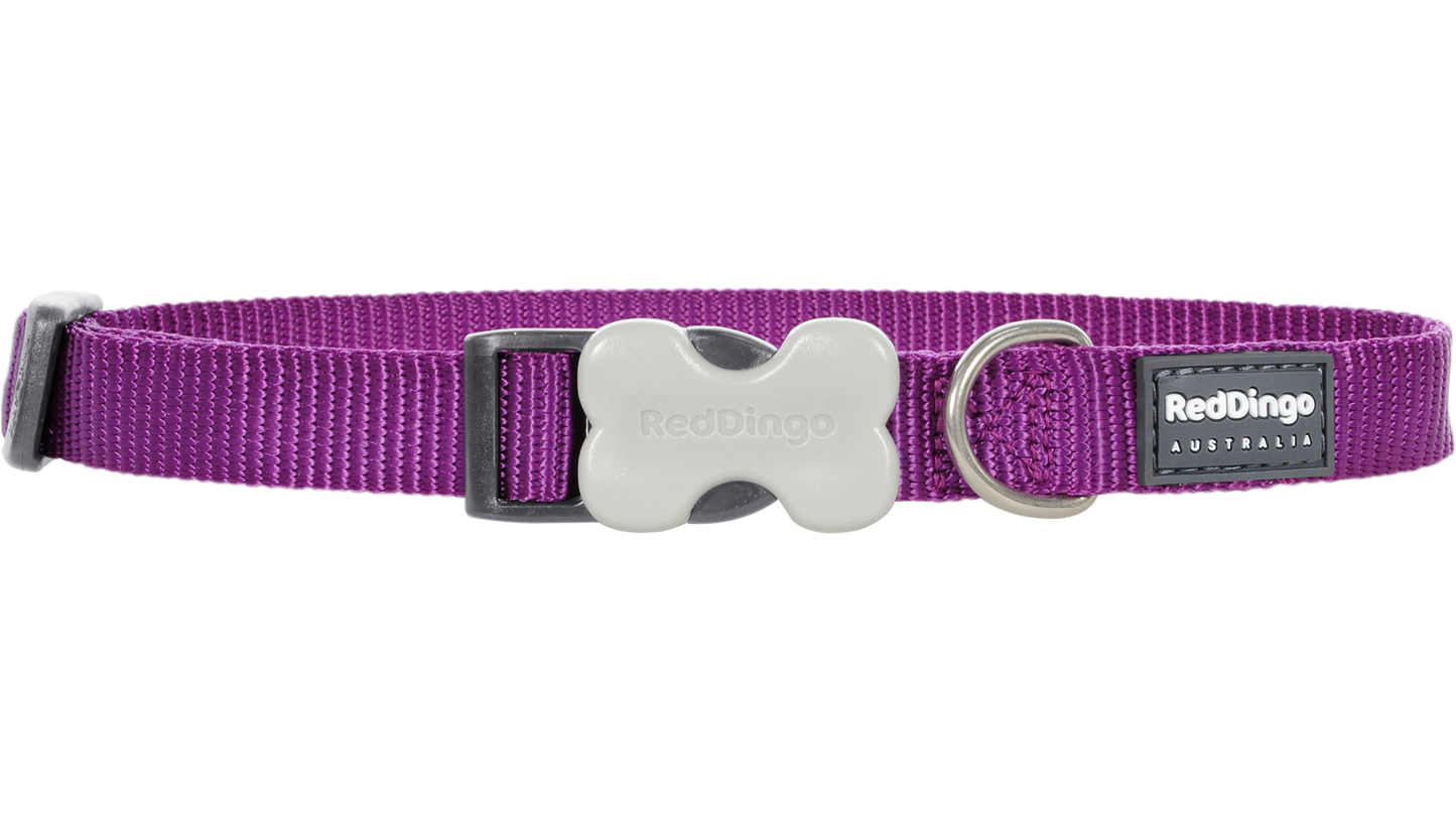 Red Dingo 'Classic Purple' Collar