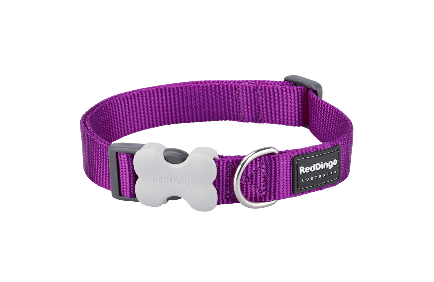 Red Dingo 'Classic Purple' Collar