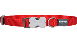 Red Dingo 'Classic Red' Collar