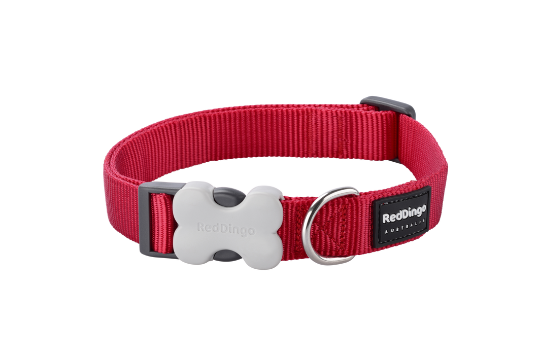 Red Dingo 'Classic Red' Collar