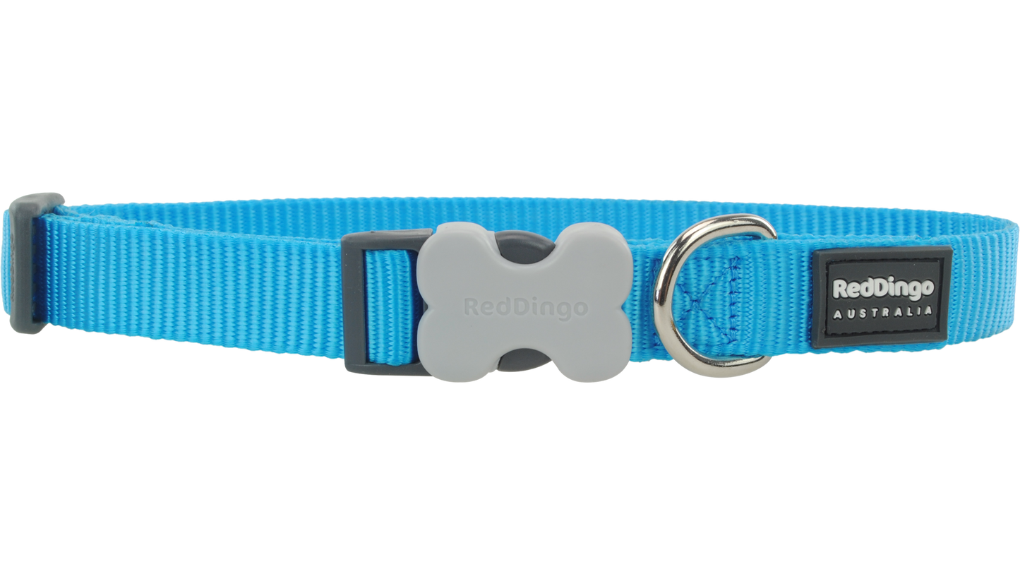 Red Dingo 'Classic Turquoise' Collar