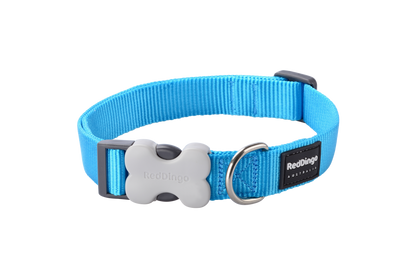 Red Dingo 'Classic Turquoise' Collar