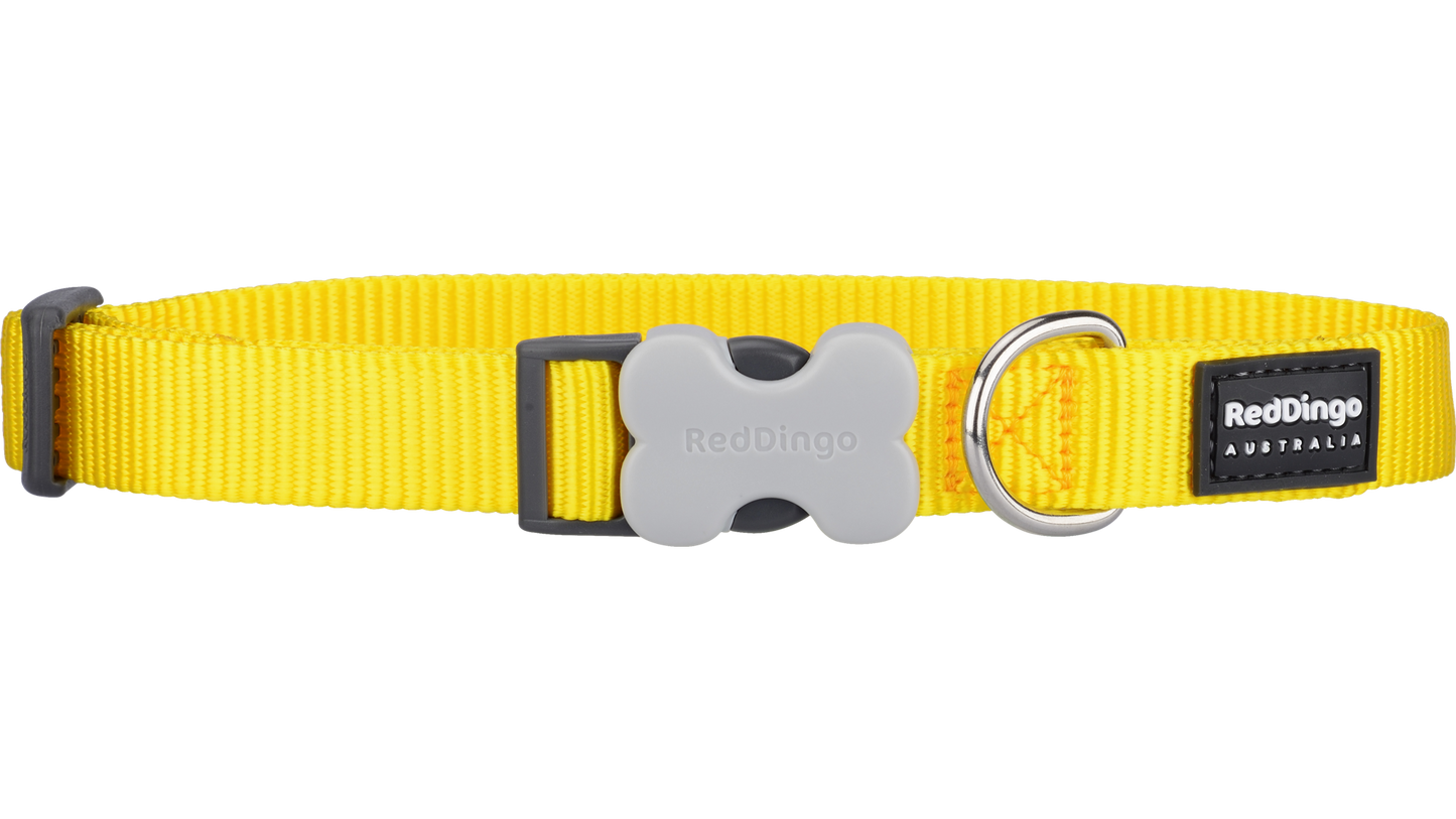 Red Dingo 'Classic Yellow' Collar