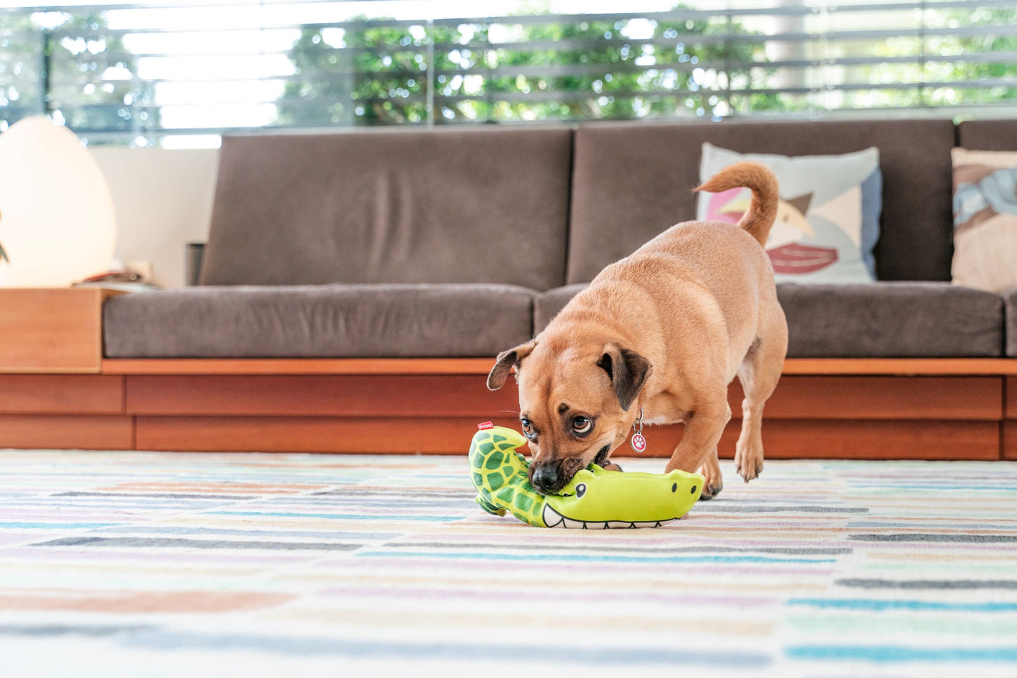 Red Dingo DURABLES - Crocodile