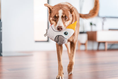 Red Dingo DURABLES - Cockatoo