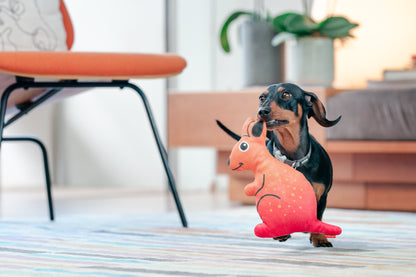 Red Dingo Durables - Kangaroo