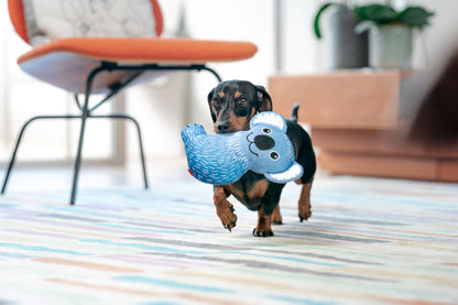 Red Dingo DURABLES - Koala