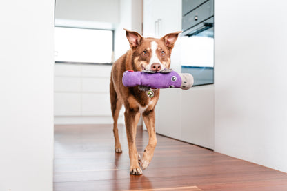 Red Dingo DURABLES - Platypus