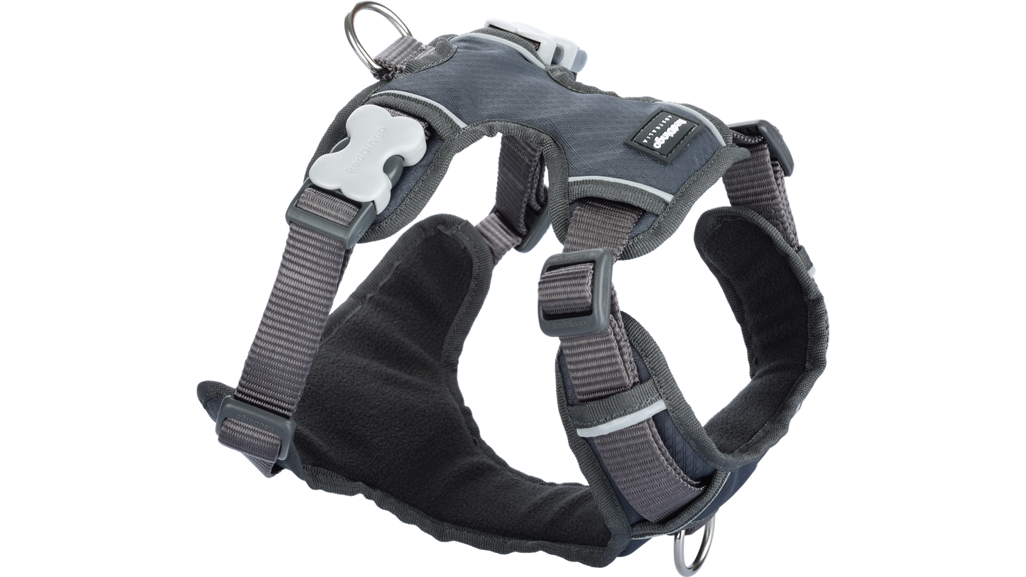 Red Dingo 'Cool Grey' Padded Harness