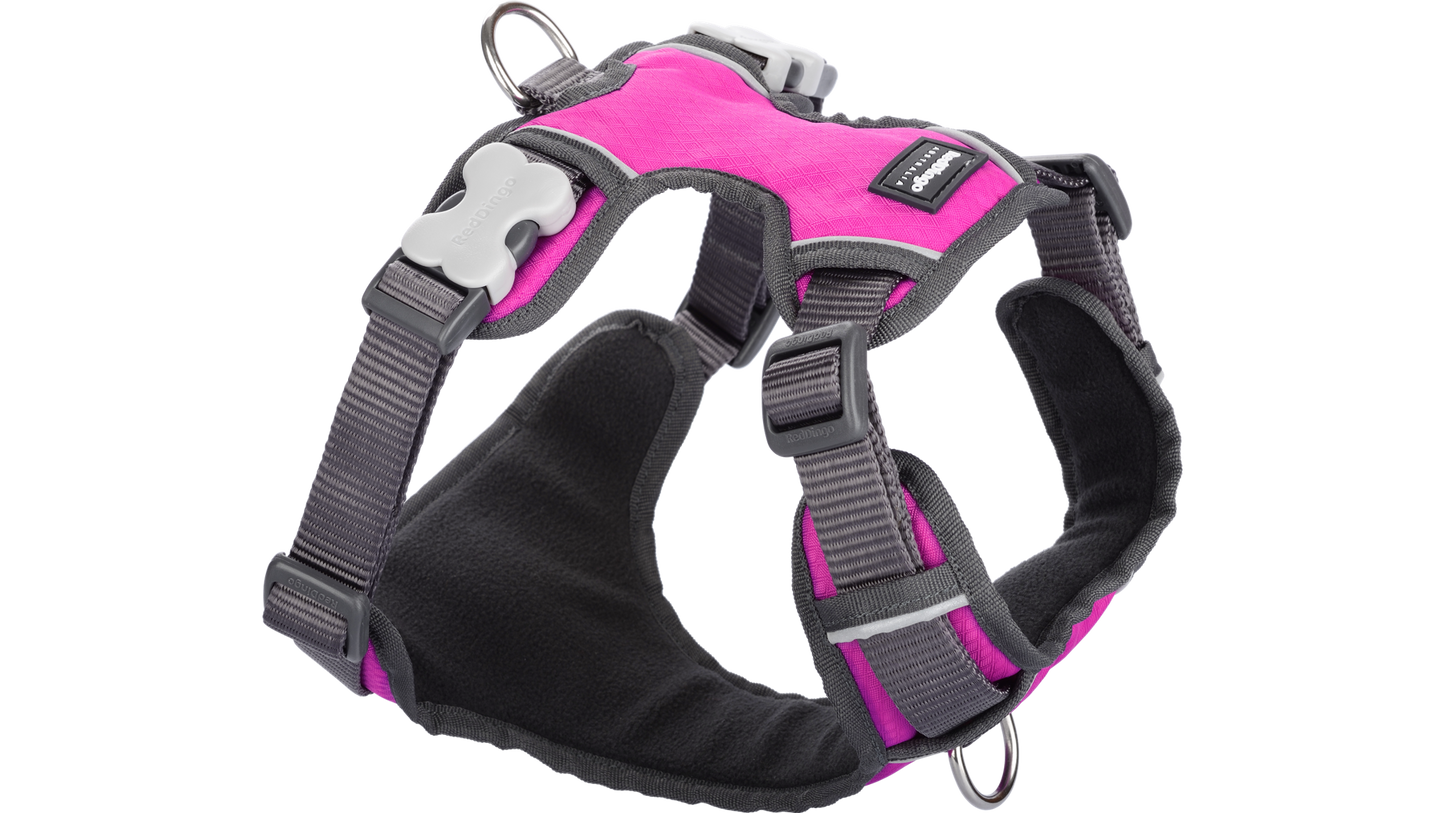Red Dingo 'Hot Pink' Padded Harness