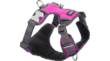 Red Dingo 'Hot Pink' Padded Harness