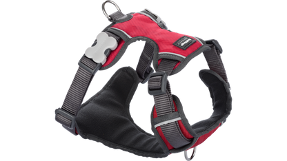 Red Dingo 'Red' Padded Harness