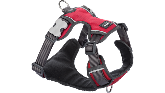 Red Dingo 'Red' Padded Harness