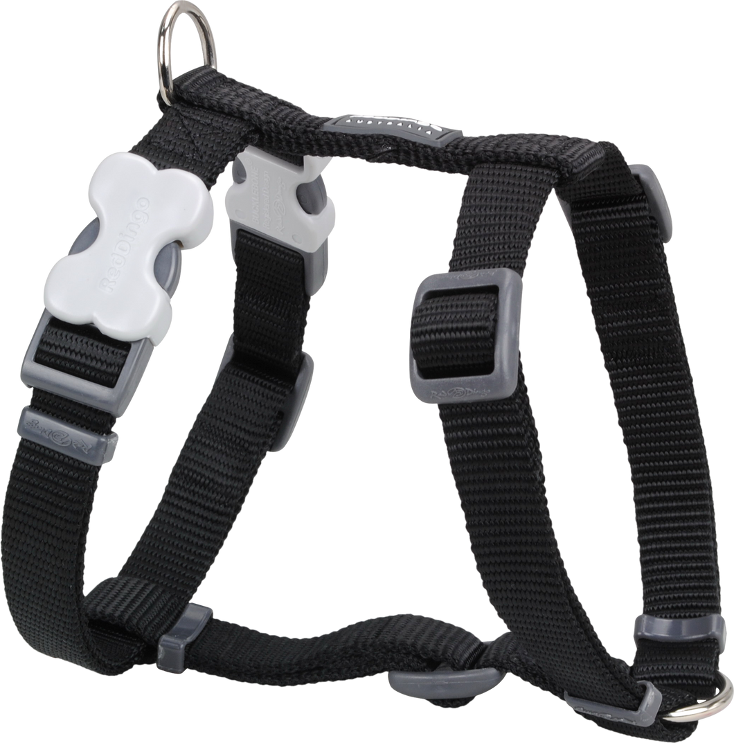 Red Dingo 'Classic Black' Harness